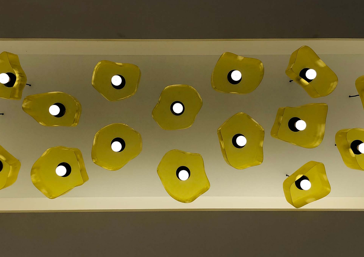O Nest pendant light with a unique nest-inspired design, showcasing intricate detailing and elegant lighting for modern interiors.
